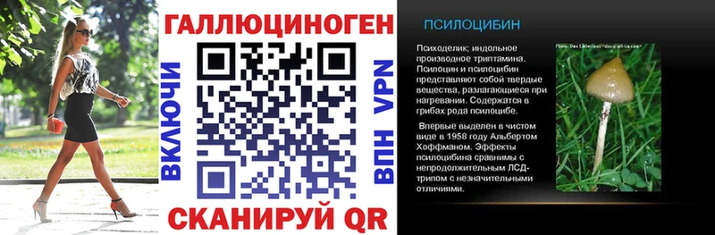 ссылка на мегу маркетплейс  Нерчинск  Галлюциногенные грибы прущие грибы 